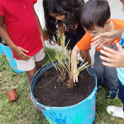 kids planting