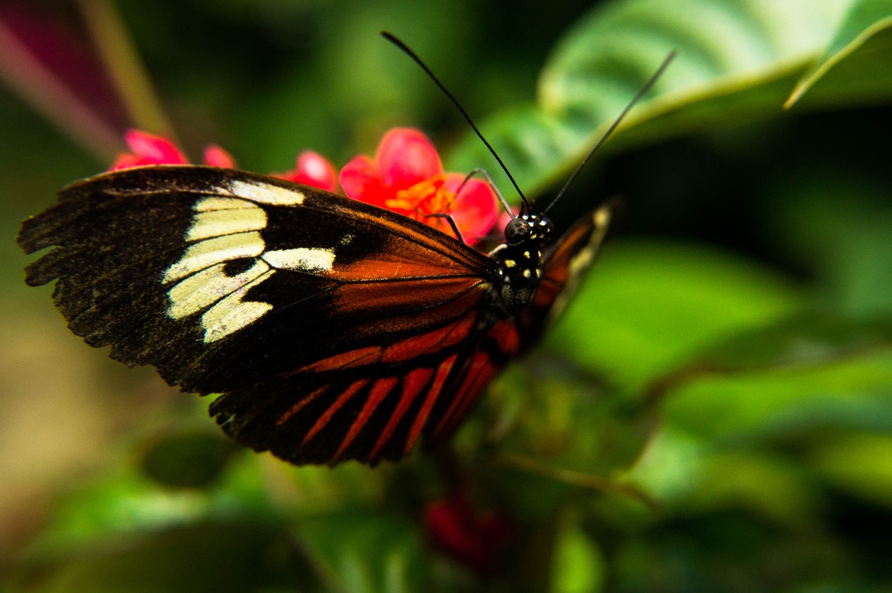 6 Healthy Ways to Enjoy Spring Break in Broward County United Way of